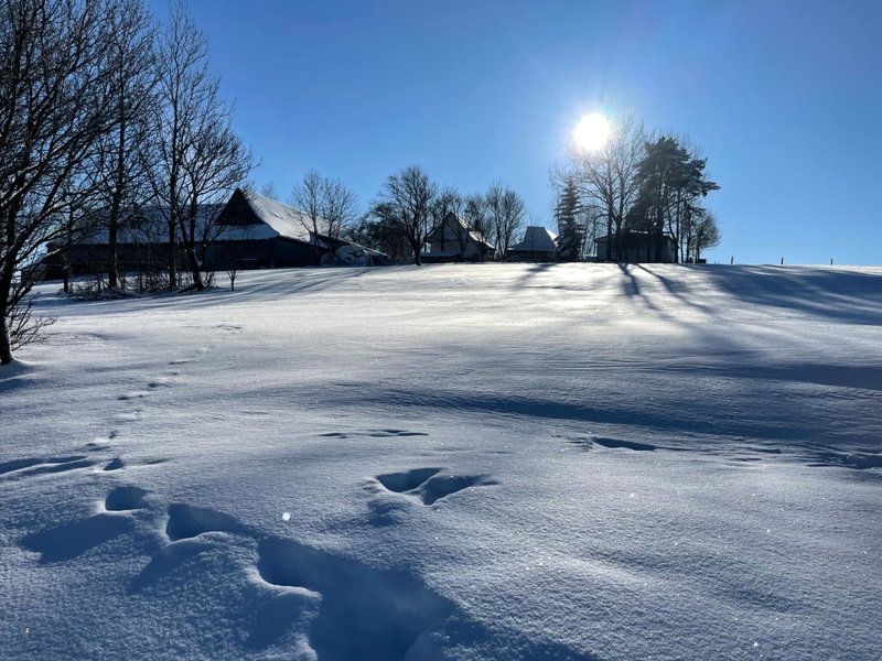 Tarasówka u Zająca, Ząb, Poland