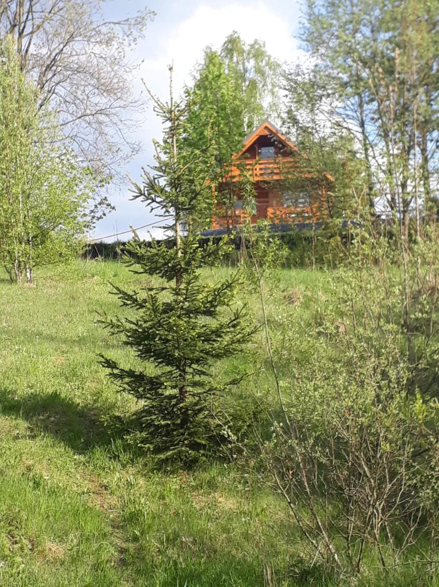 Hotel · Domek na górce, Duszniki Zdrój