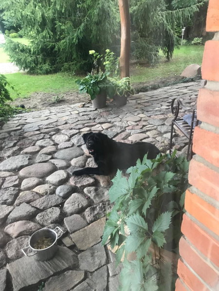 Noclegi na Mazurach., Olsztynek, Poland