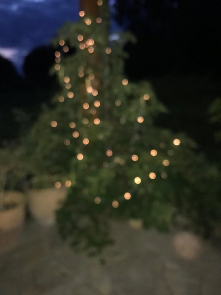 Noclegi na Mazurach., Olsztynek, Poland