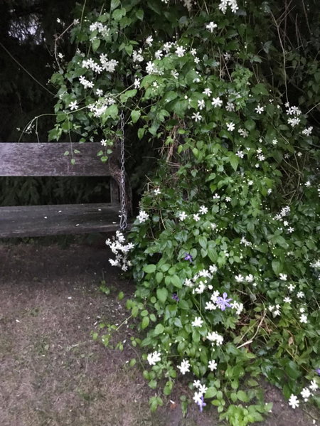 Noclegi na Mazurach., Olsztynek, Poland