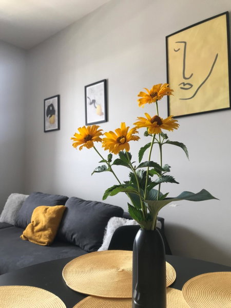 Apartament No82 Yellow Holiday Home Zator, Zator, Poland