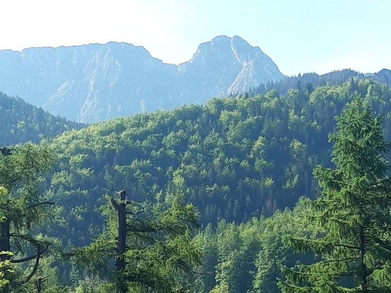 Kwatery Prywatne-Romanówka, Zakopane, Poland