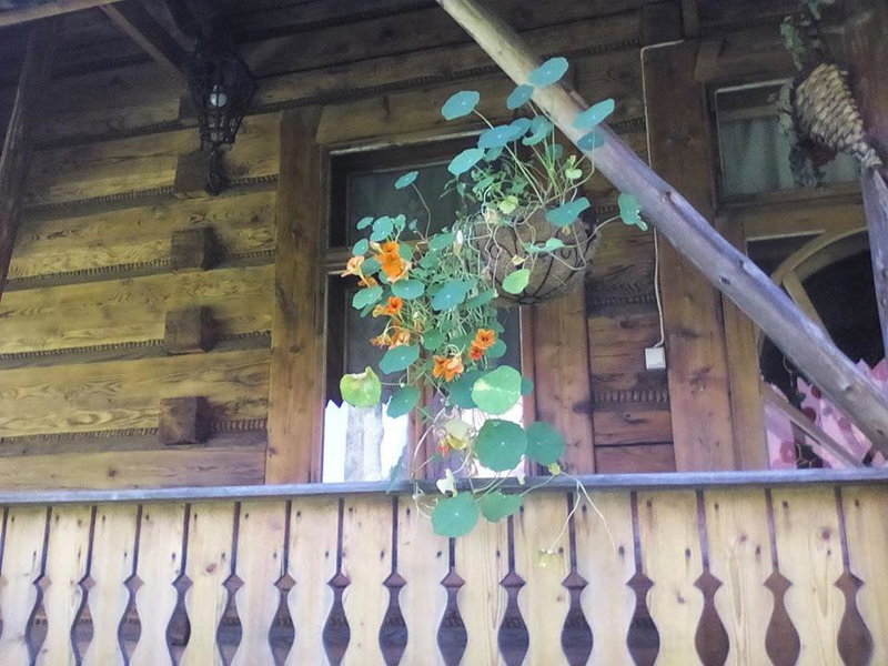 Kwatery Prywatne-Romanówka, Zakopane, Poland