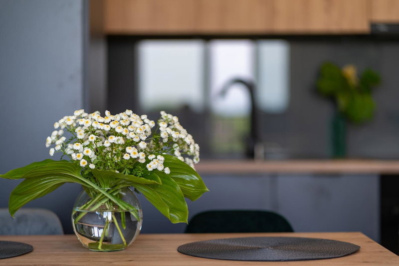 Apartament No 34 Green - Holiday Home Zator, Zator, Poland