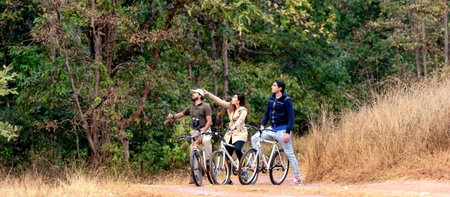 Banjaar Tola Kanha National Park - A Taj Safari Lodge, Kānha, India