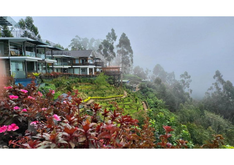 Chandys Drizzle Drops - Munnar Top Station, Munnar, India