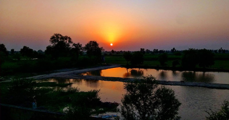 IbisHouse Farm Stay, Bharatpur, India