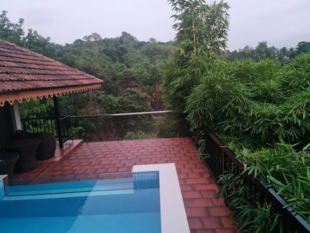 Athirapally Green Trees, Athirappilly, India