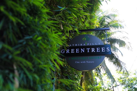 Athirapally Green Trees, Athirappilly, India