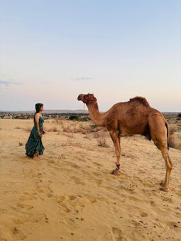 Crazy Camel Hotel & Safari, Jaisalmer, India