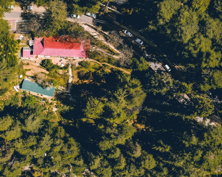 Seclude Shimla, Taraview, Shimla, India