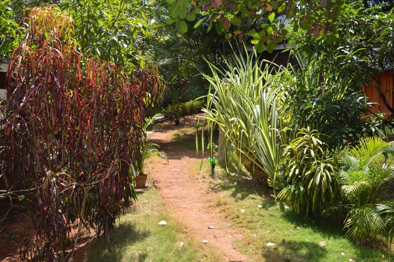 Namaste Yoga Farm, Gokarna, India