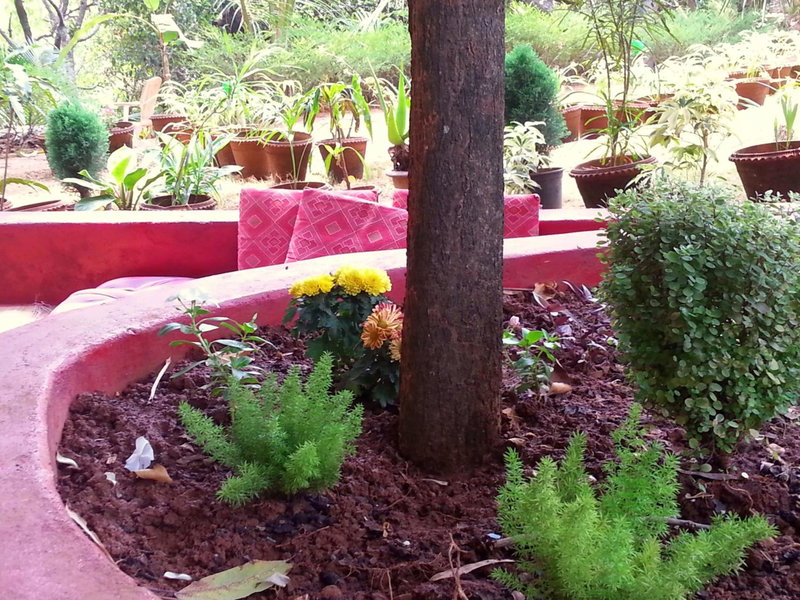 Namaste Yoga Farm, Gokarna, India