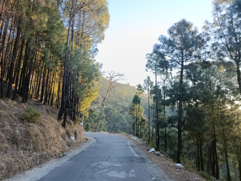 Nature Hike, Lansdowne, India
