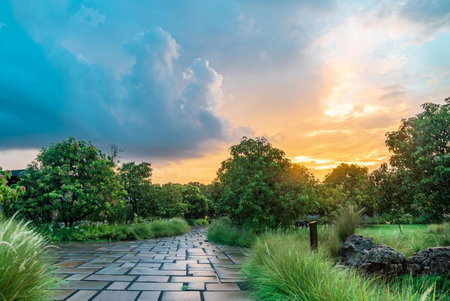 Woods at Sasan, Sasan Gir, India