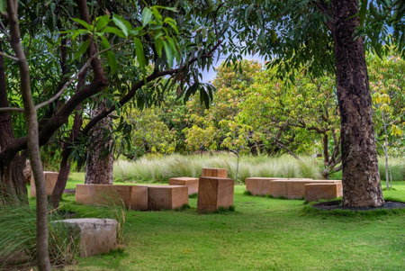 Woods at Sasan, Sasan Gir, India