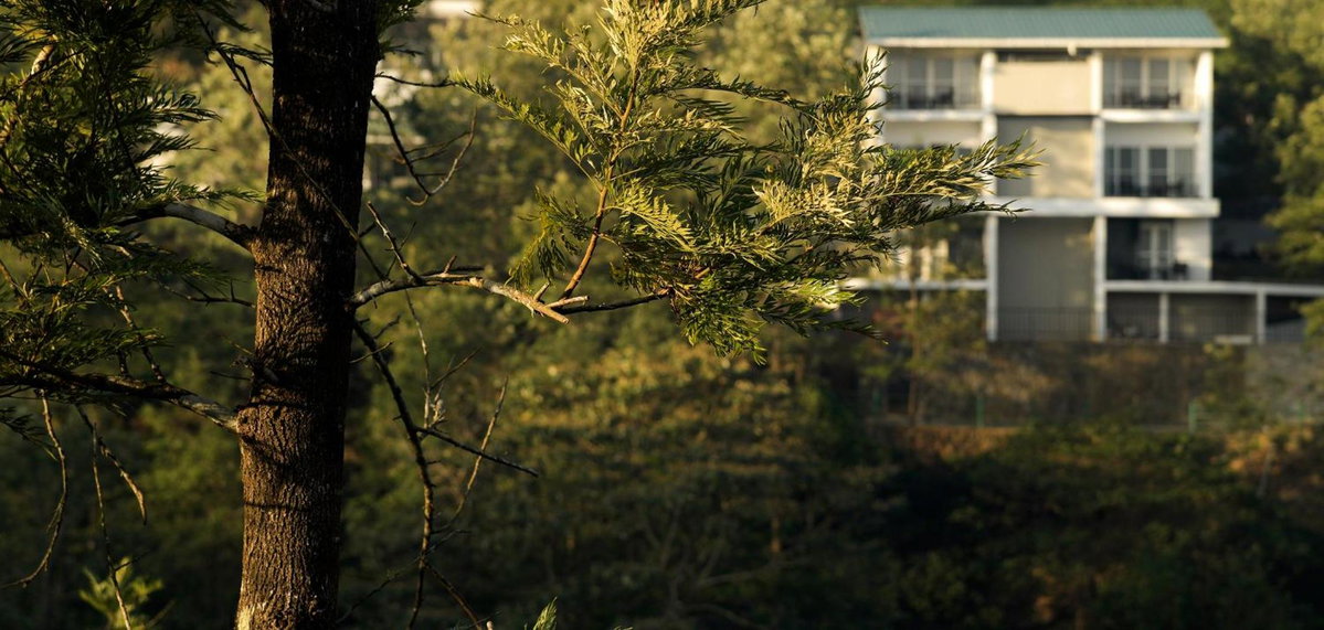 Falcon Crest, India