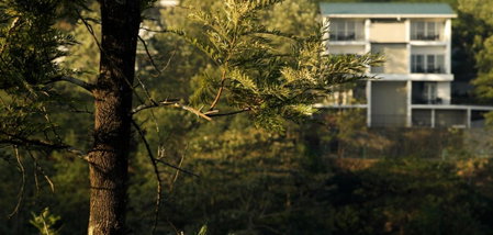 Falcon Crest, Vagamon, India
