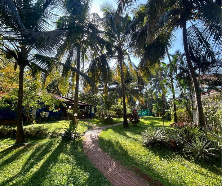 Jungle Hut-Annabelle's Beach Apartments at Bernard Simao,Calangute,Goa, Candolim, India