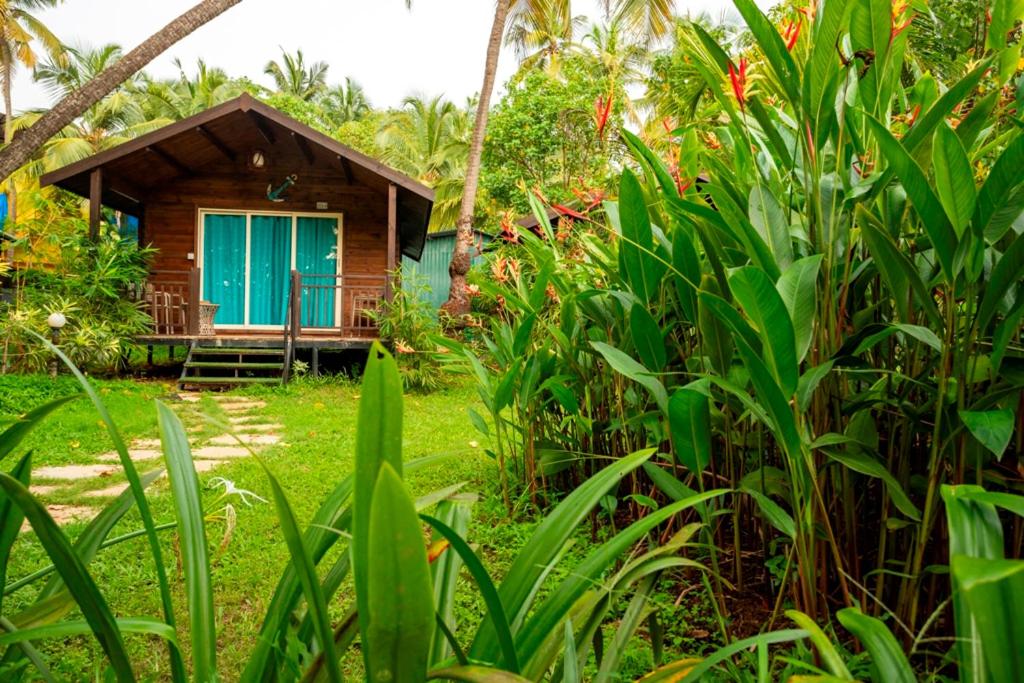 Montego Bay Beach Village - Morjim, India
