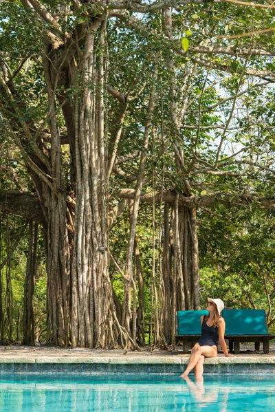 Kaav Safari Lodge, Kabini, Begūr, India