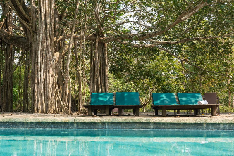 Kaav Safari Lodge, Kabini, Begūr, India