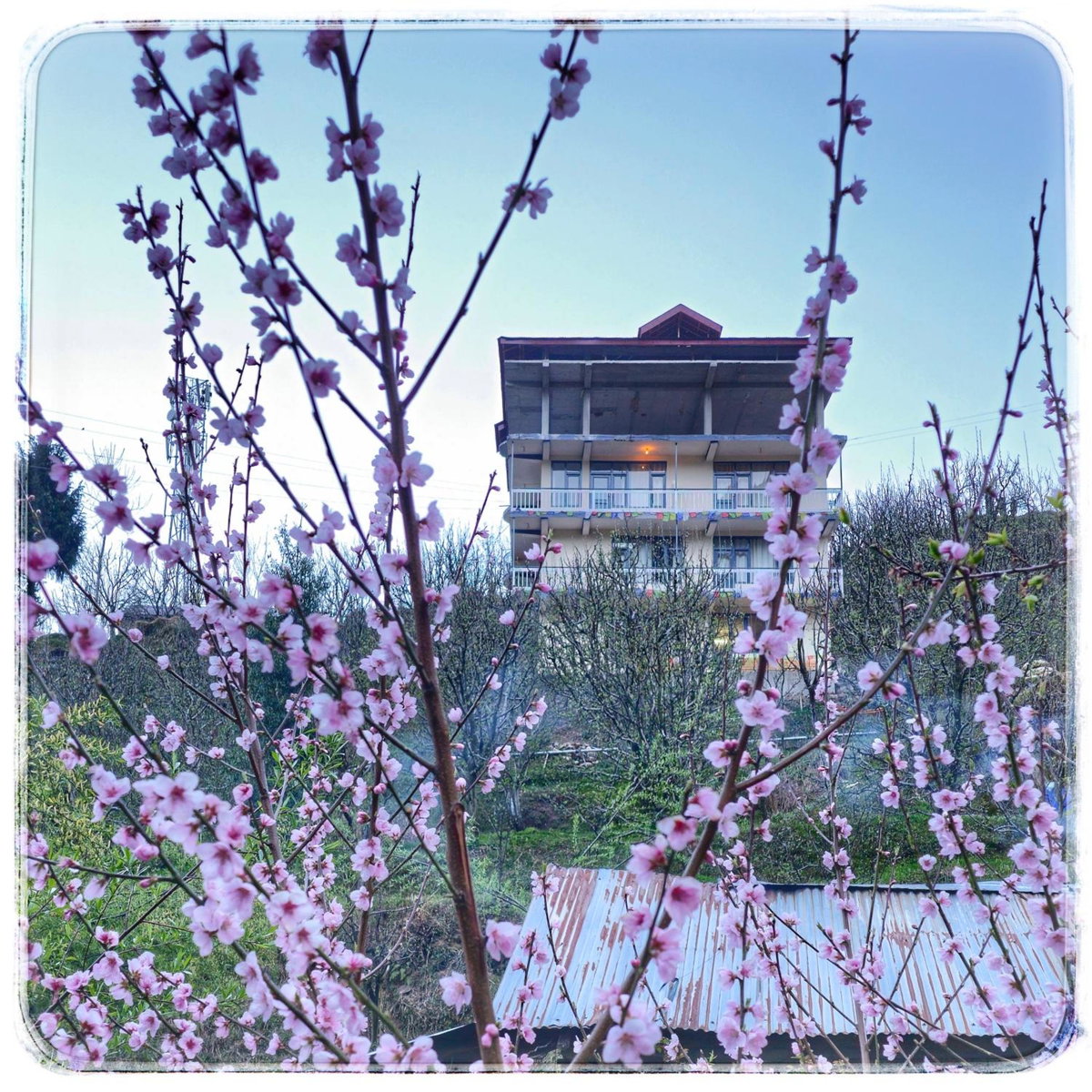 La Heim Hostels, Inde