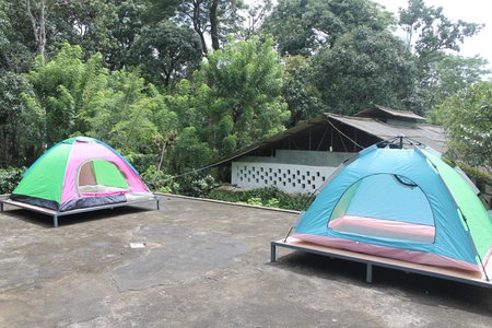 Woodside Homestay Wayanad, Batheri, India