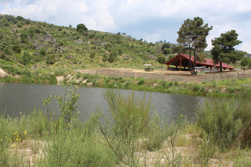 Quinta Vale da Prata, Celorico da Beira, Portugal