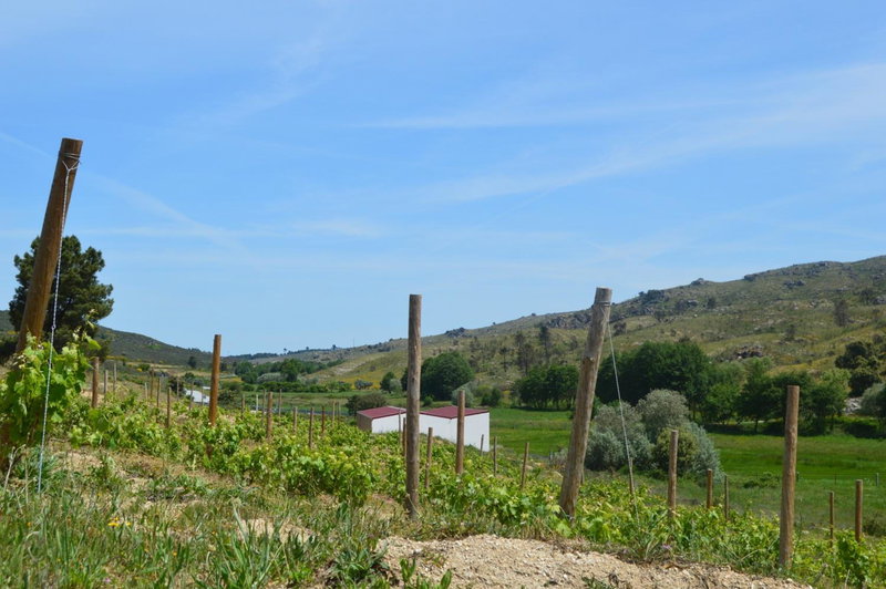 Quinta Vale da Prata, Celorico da Beira, Portugal