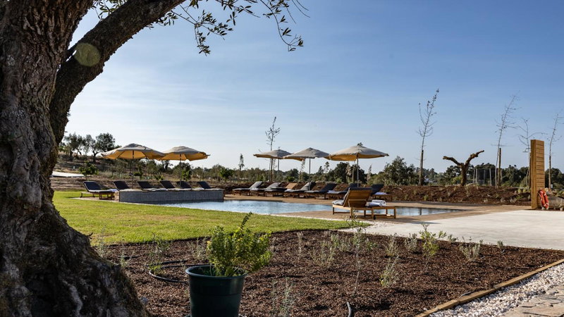 Quinta da Amendoeira - Évora - The Farmhouse, Évora, Portugal