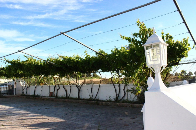 Sunshine, Albufeira, Portugal