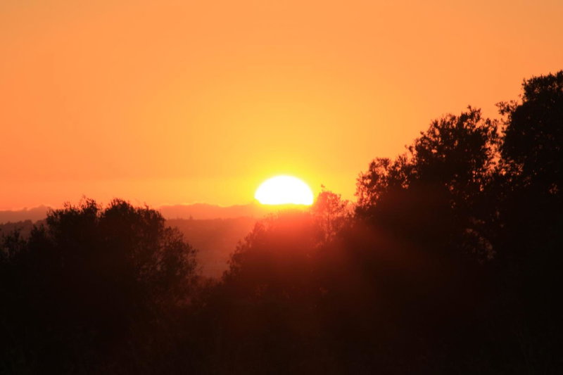 Sunshine, Albufeira, Portugal