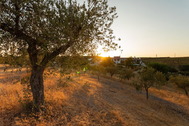 Monte da Estrela - Country House & SPA, Moura, Portugal