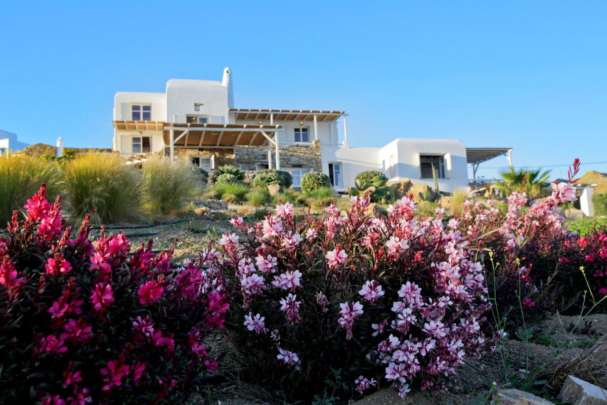 Hotel · Salty Houses, Kalo Livadi