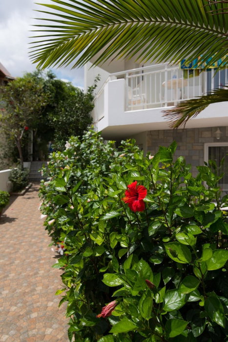 Melissa Apartments, Studios & Suites, Malia, Greece