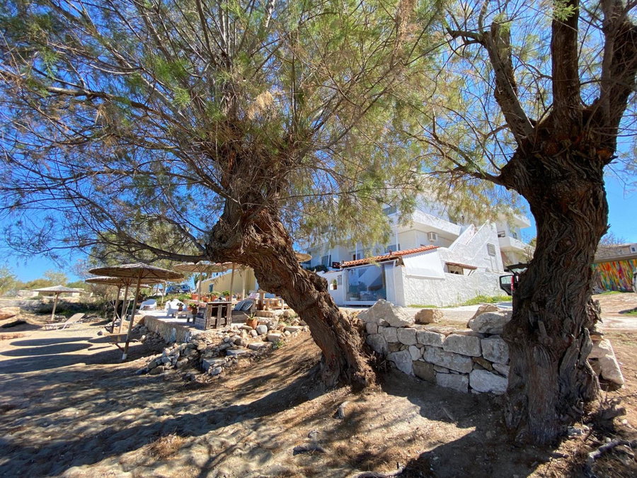 The Beachhouse Apartments, Vagia, Greece