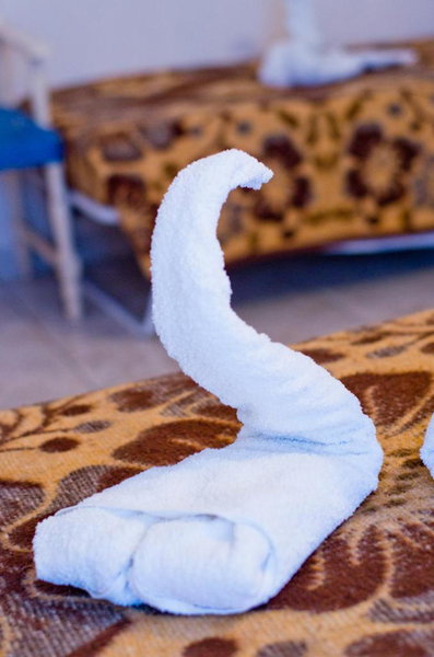 Hotel Koala, Kos Town, Greece