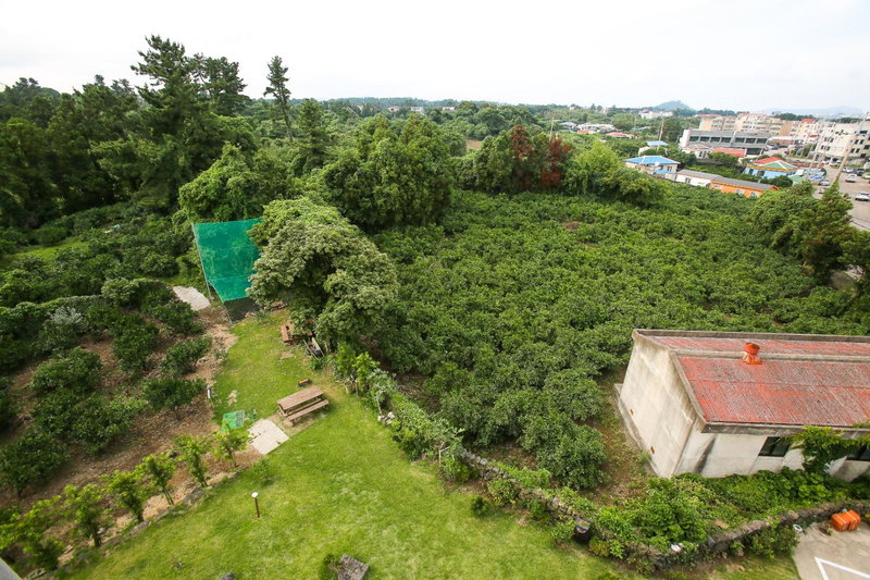 Haeneoul, Seogwipo, South Korea
