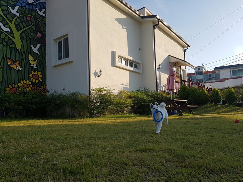 Tongyeong One Guesthouse, Tongyeong, South Korea