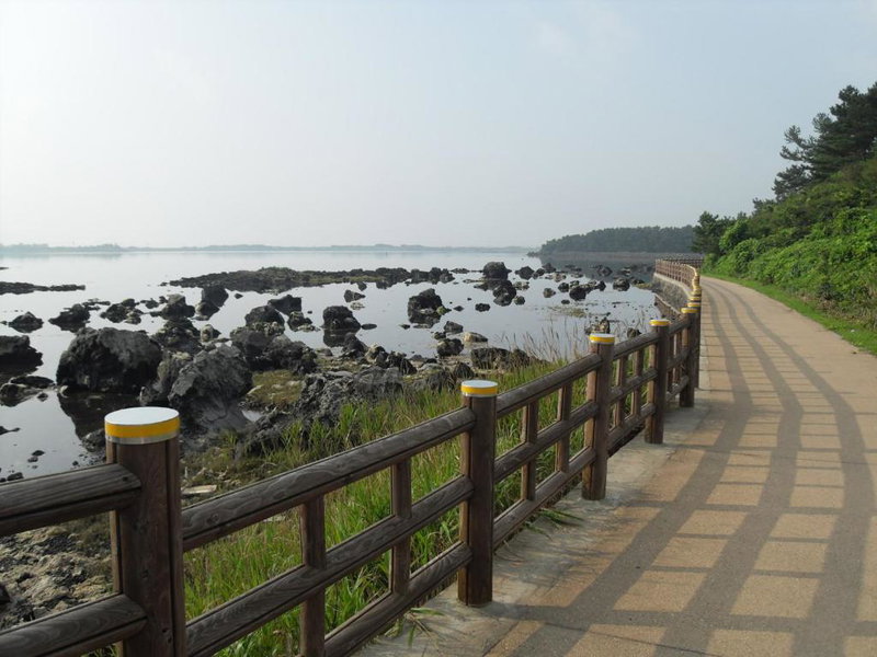 Sun Flower Minbak, Seogwipo, South Korea