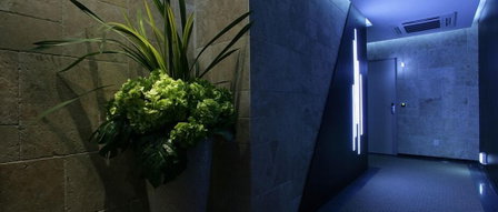Antives Hotel, Goyang, South Korea