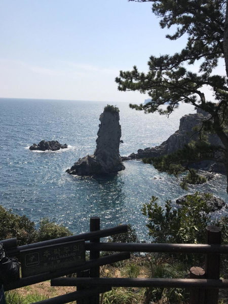 Dreaming Forest Pension Seogwipo, Seogwipo, South Korea