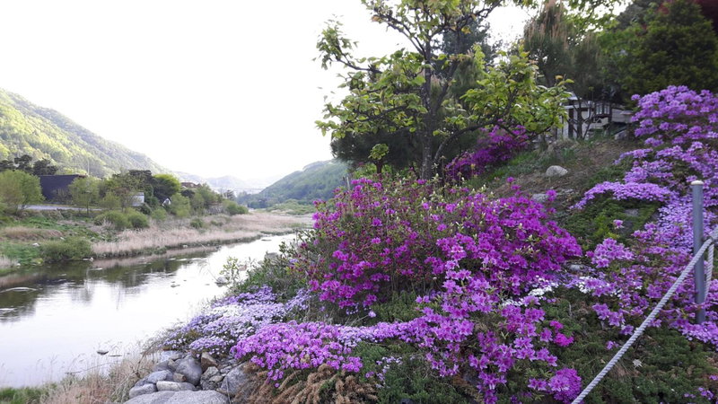 Starvill Pension, Pyeongchang, South Korea