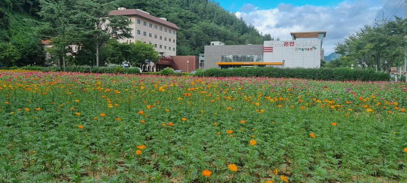 Juwang Mt Oncheon Tourist Hotel, Cheongsong, South Korea