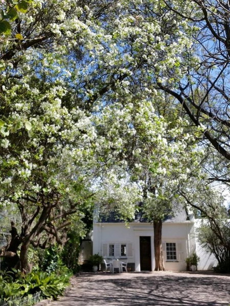Little Green World, Beaufort West, South Africa