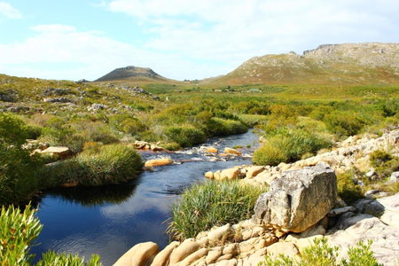 The Trailhouse - Betty's Bay, Bettyʼs Bay, South Africa