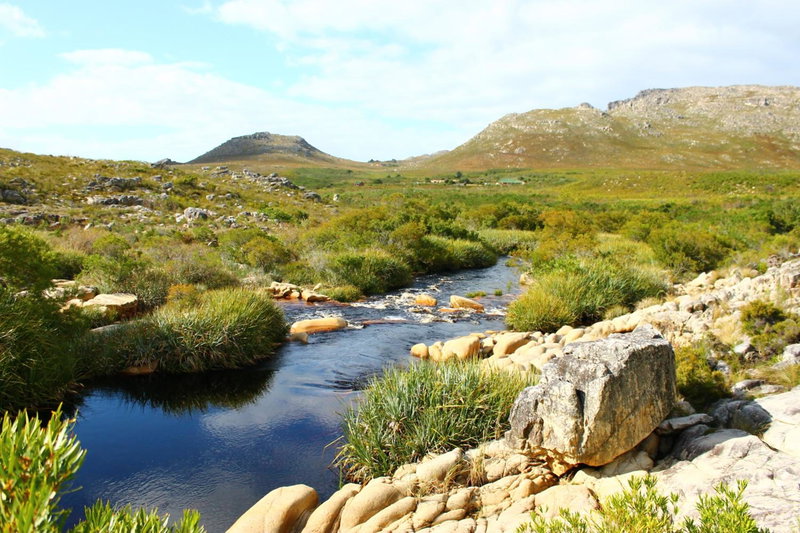 The Trailhouse - Betty's Bay, Bettyʼs Bay, South Africa
