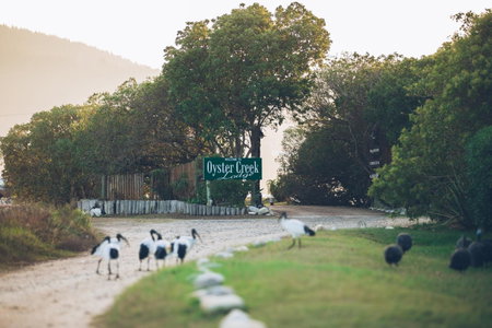 Oyster Creek Lodge, Knysna, South Africa